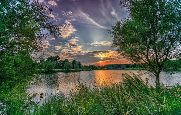 Landscape, nature, lake, dawn, plant, beauty, morning