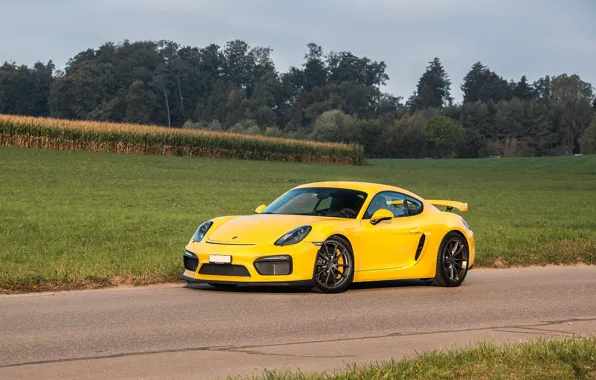 Porsche, Cayman, Yellow, Field, GT4