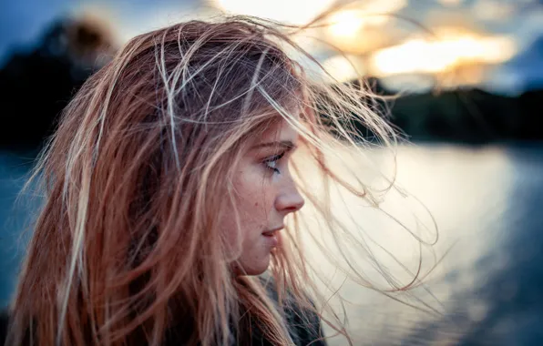 Picture freckles, profile, curls, Sebastian Kliemann