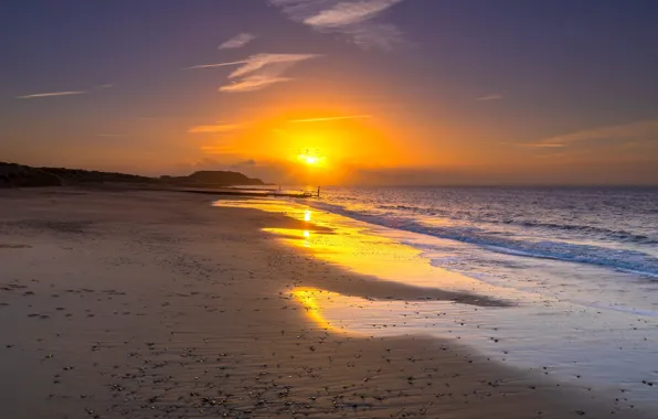 Sand, sea, beach, the sky, the sun, sunset, birds, shore