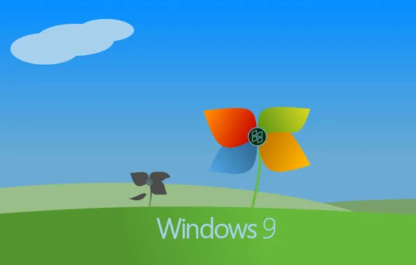 Picture computer, flower, the sky, clouds, emblem, windows, operating system