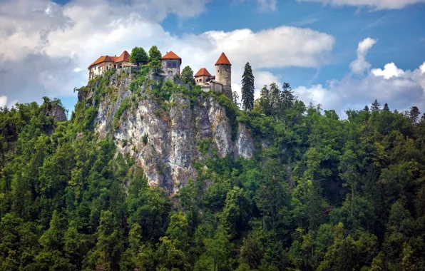 Forest, rock, castle