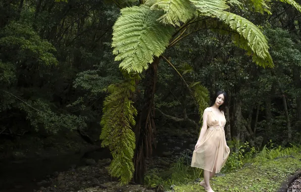 Asian, Model, Water, Woman, River, Forest, Trees, Pretty