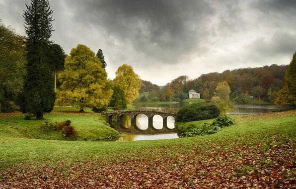 Field, bridge, nature