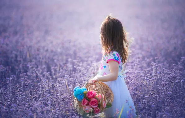 Picture flowers, mood, meadow, girl, basket