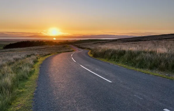 Road, field, summer, landscape, sunset, nature