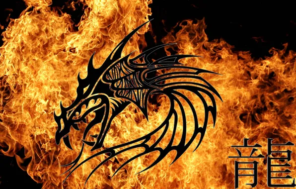 Picture fire, dragon, signs, symbol