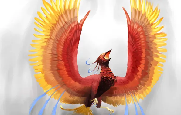 Picture look, background, fiction, fire, wings, feathers, art, Phoenix