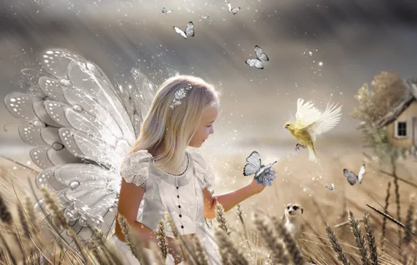 Picture Home, Bird, Girl, Fairy, Wheat, Babachki