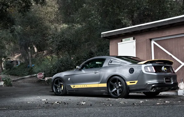 Wallpaper road, forest, trees, Mustang, Ford, Mustang, silver, muscle ...