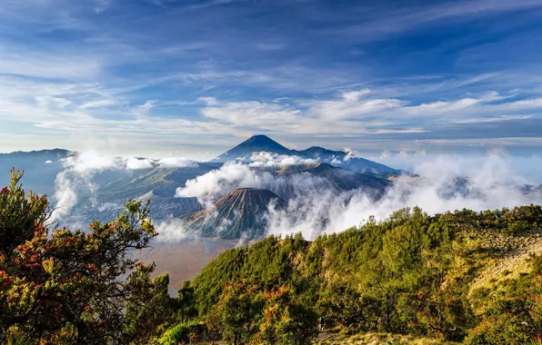 Picture Indonesia, Java, Tengger, volcanic complex-the Caldera TenGer, the volcano Bromo