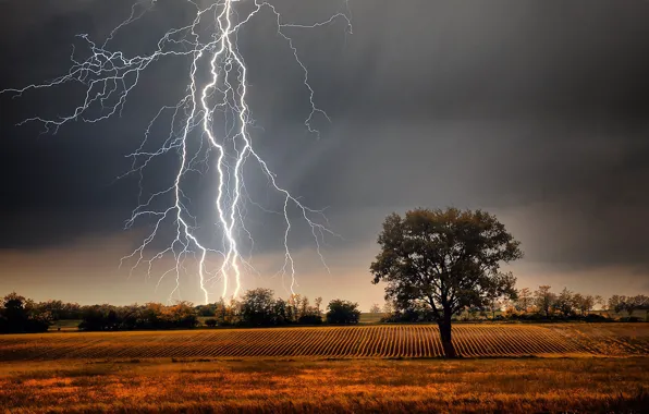 Grass, storm, field, landscape, Lightning, nature, clouds, tree