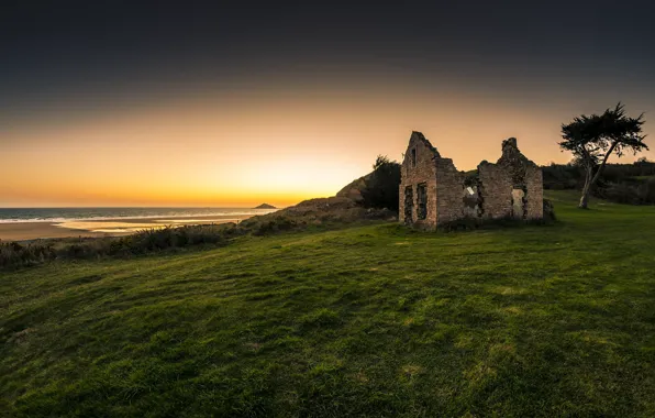 Field, grass, house, the building, ruins