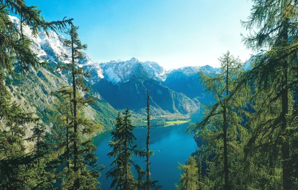 Picture forest, summer, the sky, landscape, nature, lake