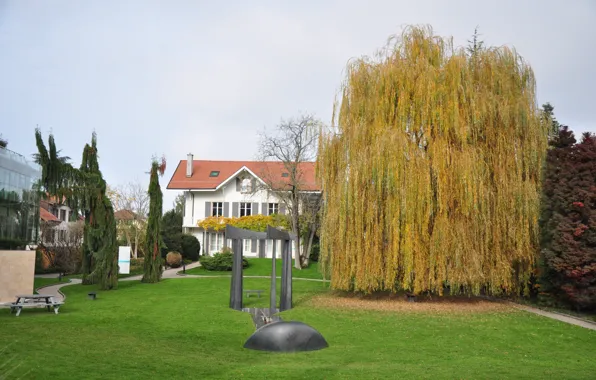 Picture colors, Autumn, Trees, House, House, trees, Autumn, fall