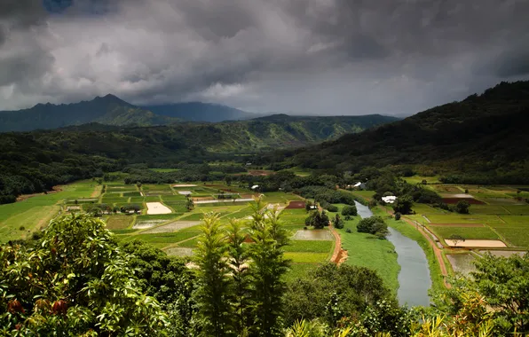 Mountains, clouds, field, Hawaii, panorama, river, forest, the bushes