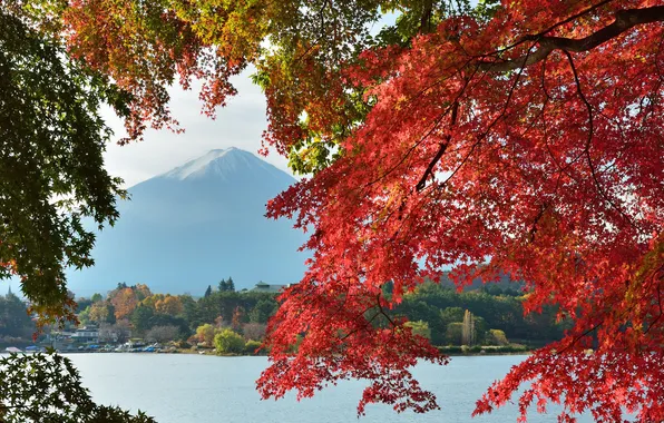 Autumn, the sky, leaves, trees, lake, house, Japan, mount Fuji