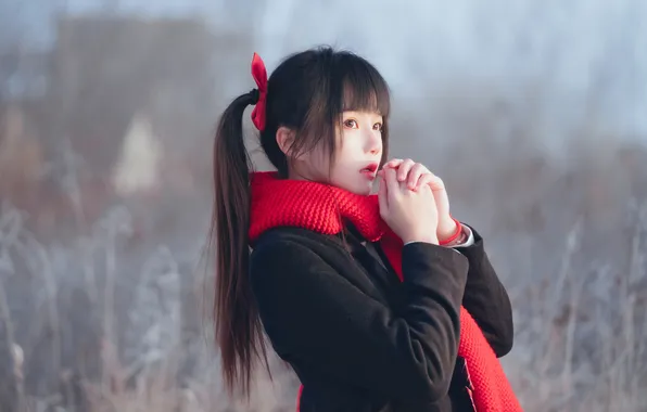 Beautiful, Asian, Model, Winter, Snow, Woman, Mist, Cute