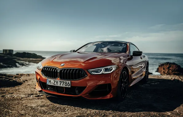 Picture rocks, shore, coupe, BMW, Coupe, 2018, 8-Series, dark orange