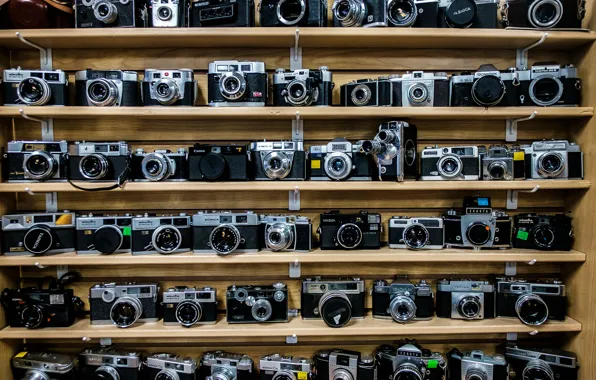 A lot, shelves, cameras