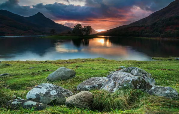 Greens, forest, grass, the sun, clouds, trees, landscape, sunset