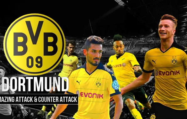 Wallpaper, sport, logo, stadium, football, Borussia Dortmund, players, Signal Iduna Park