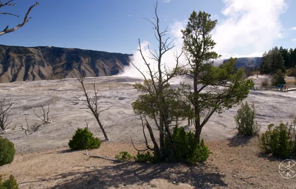 Nature, USA, national Park