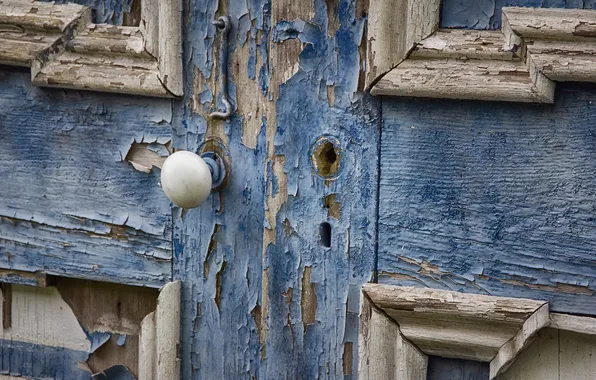 Picture background, castle, the door