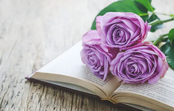 Roses, bouquet, book, wood, flowers, romantic, purple, book