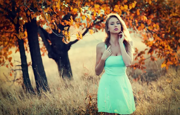 Picture Girl, Blue, Autumn, Dress, Blond