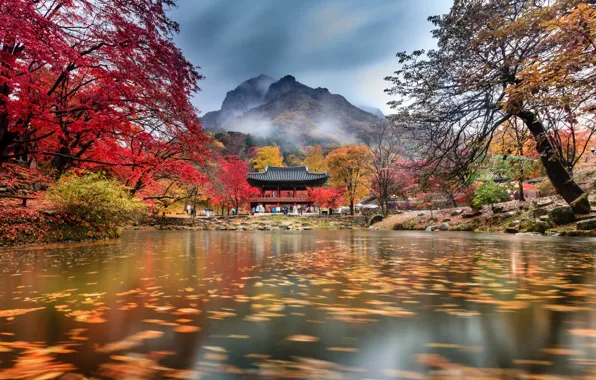Picture autumn, clouds, trees, mountains, fog, pond, Park, temple