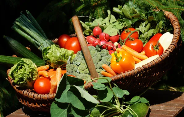 Greens, Vegetables, pepper, Tomatoes, broccoli, Radishes