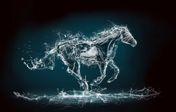Picture water, squirt, rendering, background, horse, jump