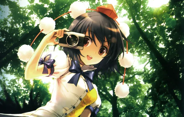 Wallpaper, forest, touhou, camera, syameimaru aya