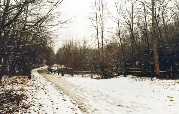 Winter, road, landscape, the fence