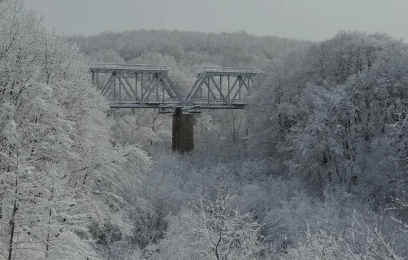 Winter, snow, bridge, nature, railroad, Kuban