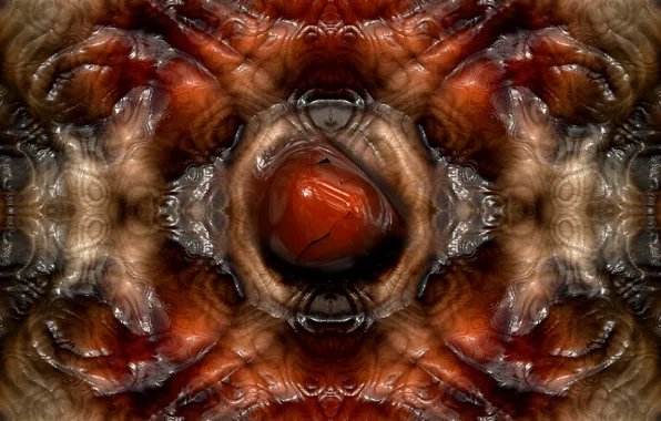 Abstraction, pattern, fractals, fractal, geometry, ornament, symmetry, abstract background