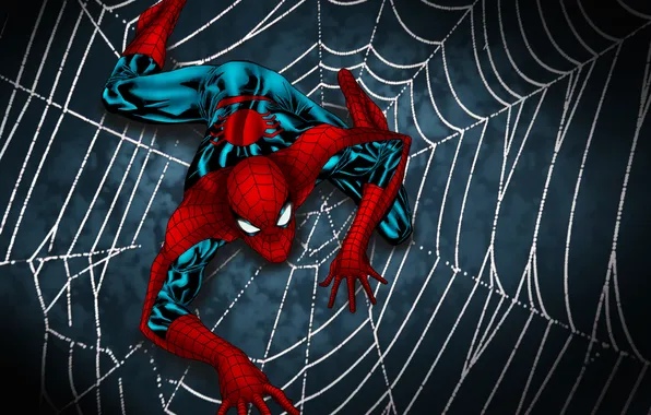 Picture spider man, web, shadowsuit