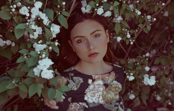 Picture look, girl, flowers, portrait