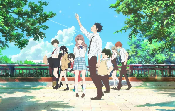 Anime, 2016, You no Katachi, A Silent Voice, Form Voice