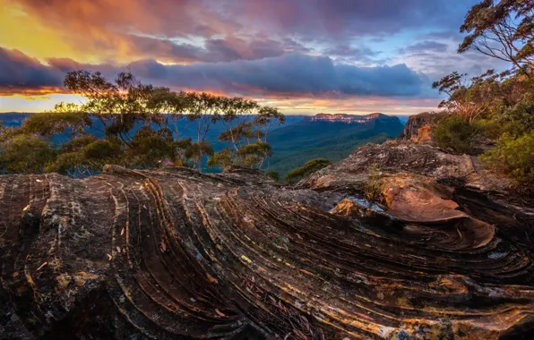 Picture clouds, trees, nature, Australia, New South Wales, Narrow Neck Plateau, Blue Mountains