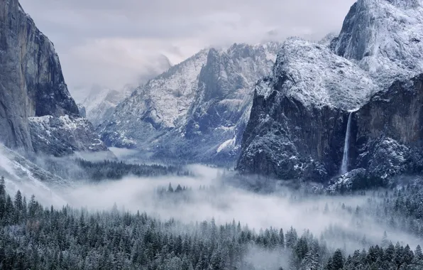 Picture winter, the sky, snow, trees, mountains, nature, fog, rocks