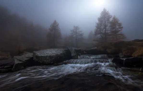 Fog, river, the darkness