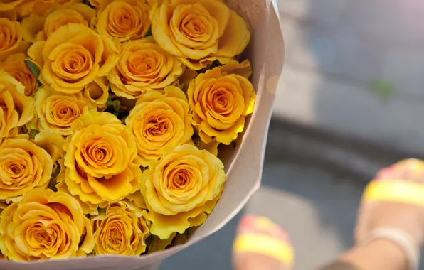 Yellow, roses, bouquet, buds