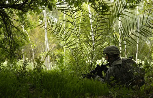 Picture forest, grass, machine, Soldiers, equipment