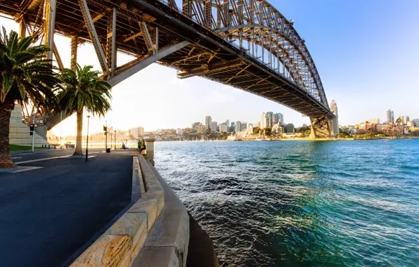 The sun, bridge, palm trees, coast, home, Australia, Bay, Sydney