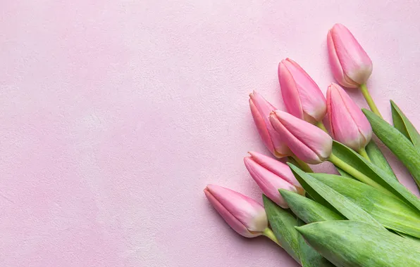 Picture flowers, bouquet, tulips, pink, flowers, tulips, spring, bouquet