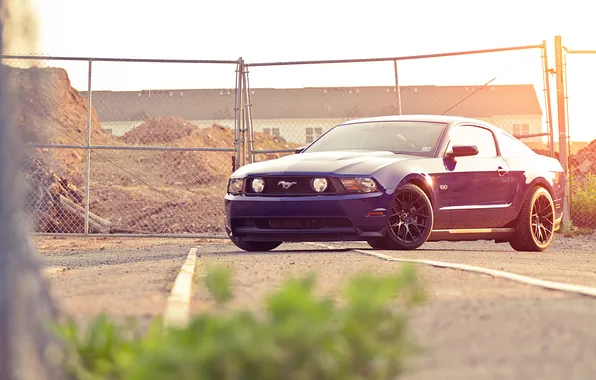 Picture blue, the fence, Mustang, Ford, Mustang, muscle car, Ford, Blik