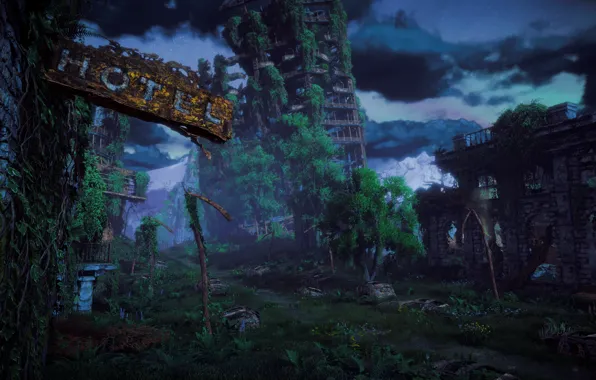 The sky, Trees, Horizon, postapokalipsis, Sony Computer Entertainment, Guerrilla Games, Horizon: Zero Dawn, Horizon Zero …