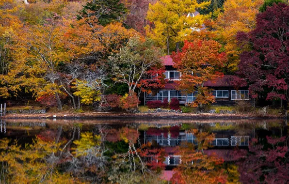 Autumn, Asia, house, pond